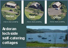 Three secluded chalets on the shores of Loch Feochan Three secluded chalets on the shores of Loch Feochan