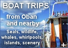 Boat Trips in and around Oban Boat Trips in and around Oban